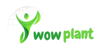 wow plant