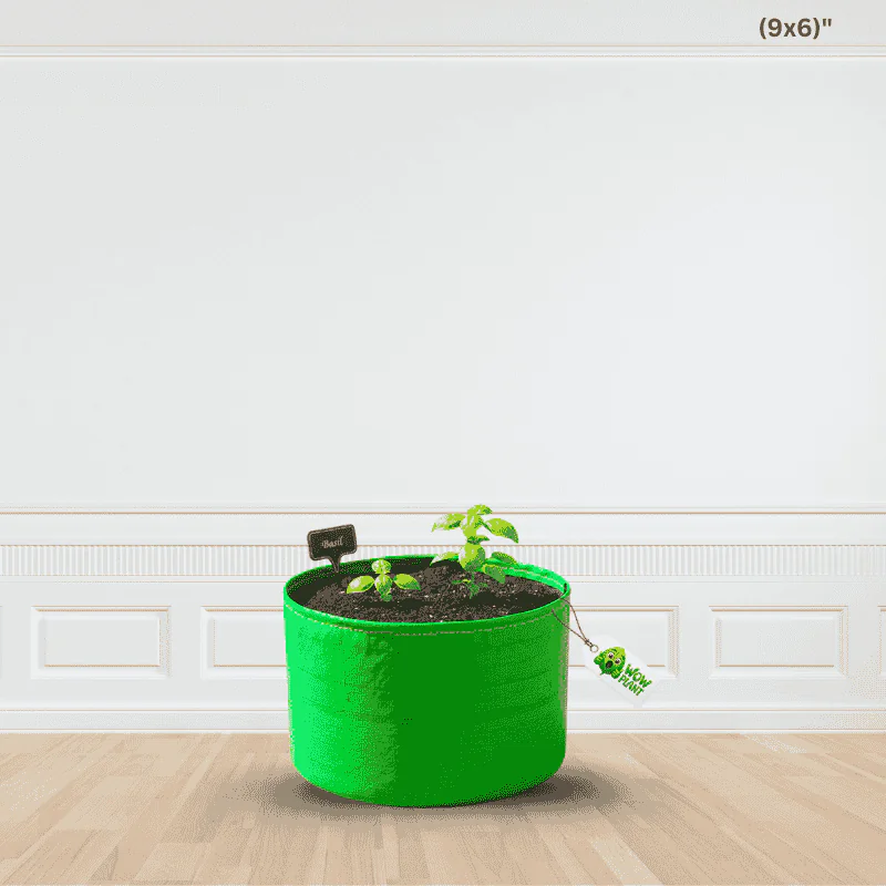 🌱 Grow Smart in Small Spaces with Wow Plant 9×6 HDPE Grow Bag