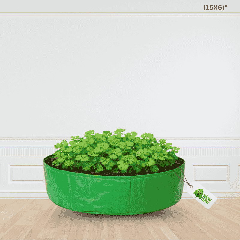 15X6" Grow Bag - HDPE