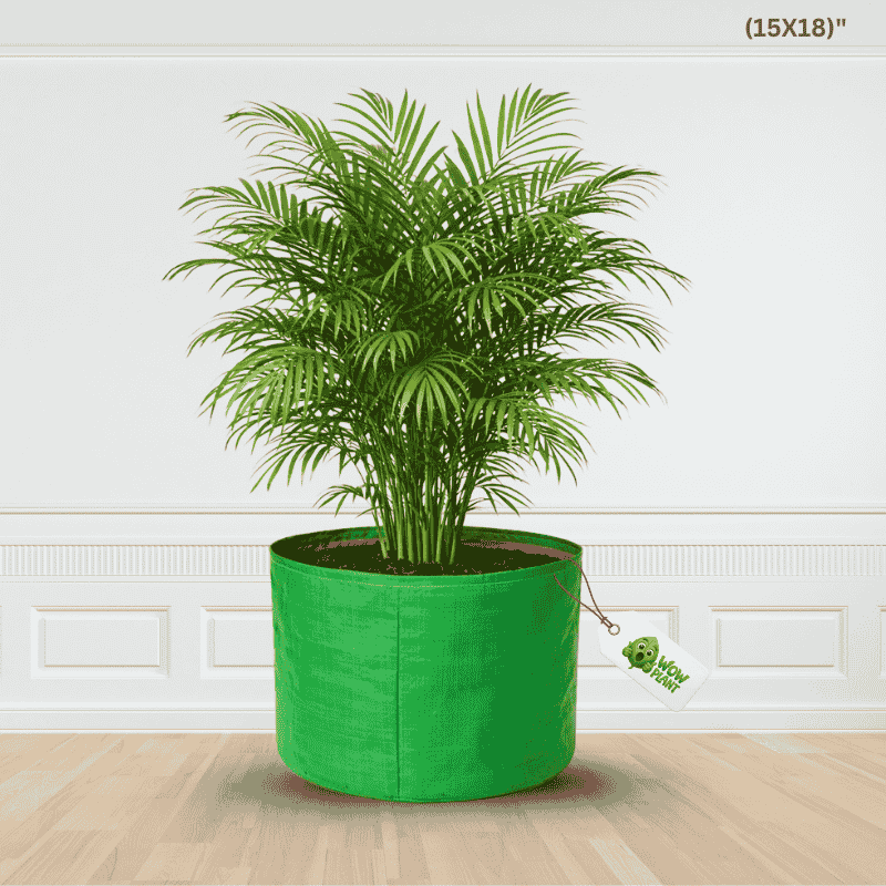 🌱 Big Space for Big Growth – Wow Plant 15×18 HDPE Grow Bag
