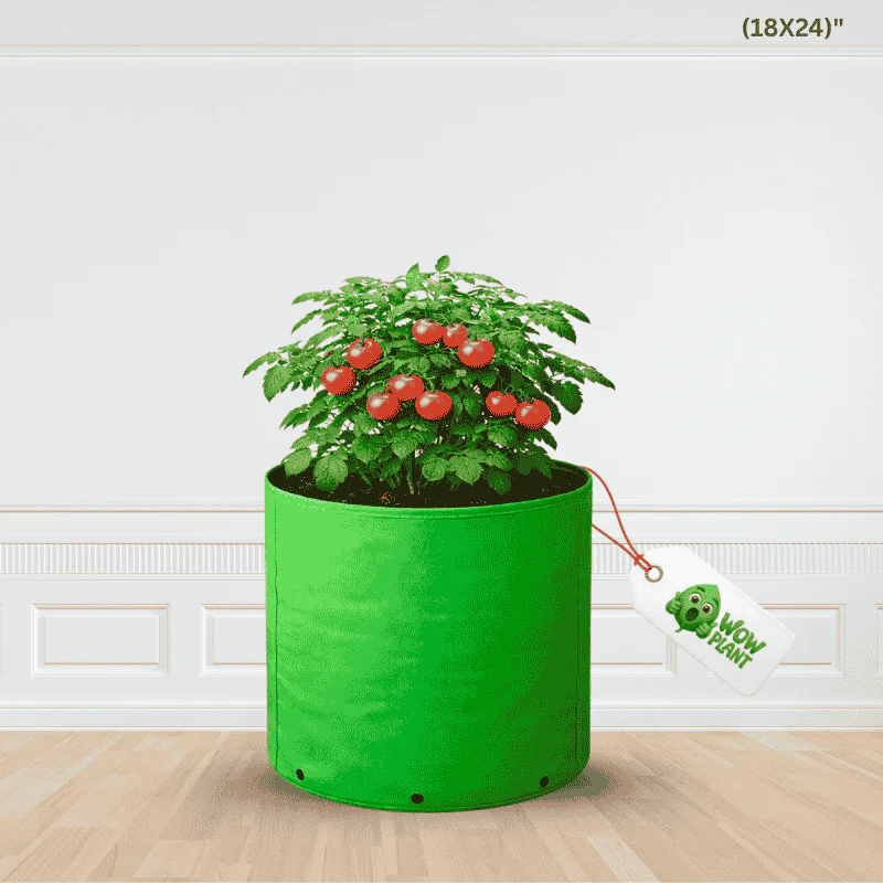 Grow Bigger, Healthier Tomatoes – 18×24 Inch HDPE Grow Bag