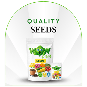 Best Quality Vegetable and Flowring Seed by wow plant