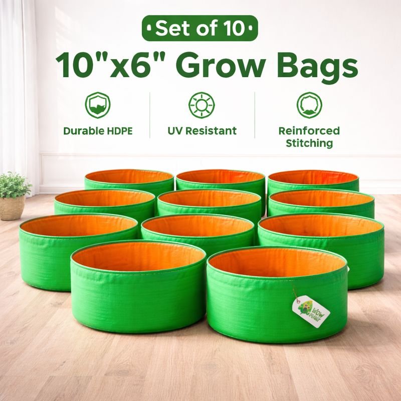 HDPE Grow Bags | 10inch width | 6 inch Height | Best Quality | Best Price | 10pc