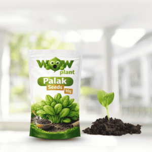 palak/spinach seeds 10g