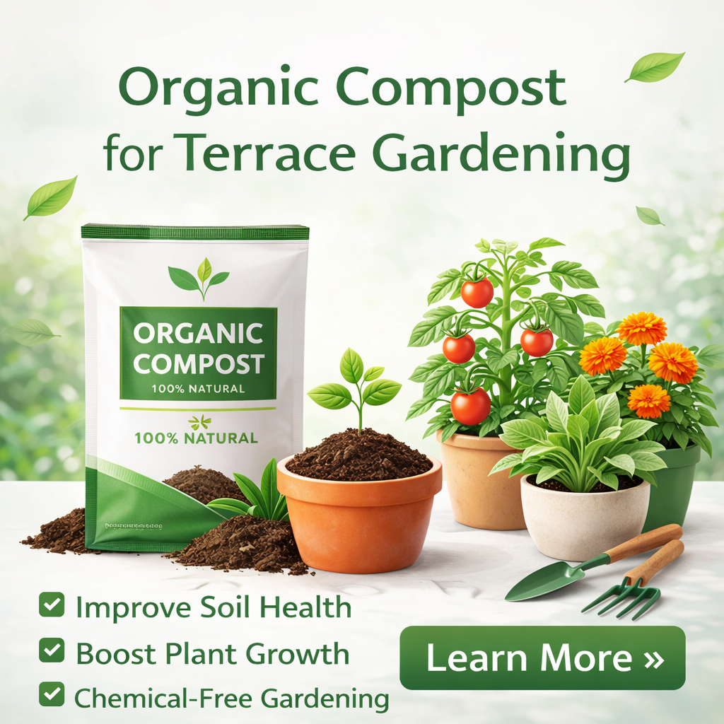 Boost your terrace garden with 100% natural organic compost. Strong roots, greener leaves, better harvest.
