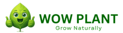 wow plant