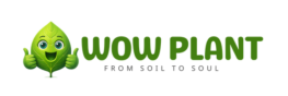 wow plant
