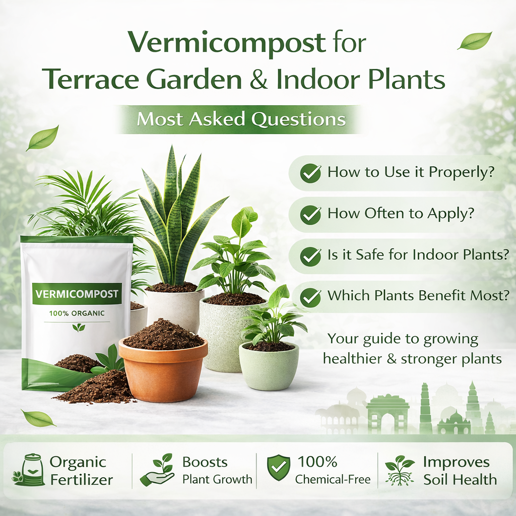 Healthy terrace and indoor plants start with rich vermicompost.